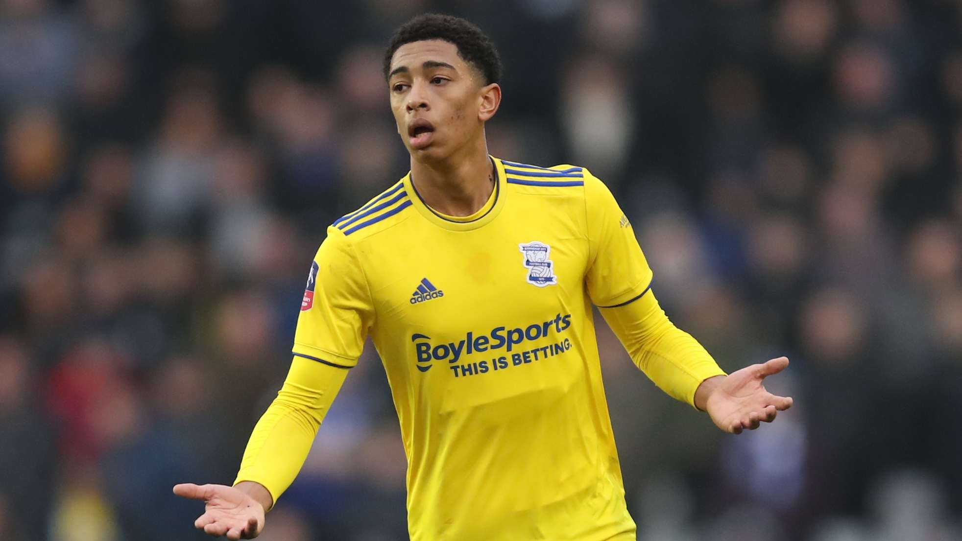 不僅能緩解 不僅能緩解